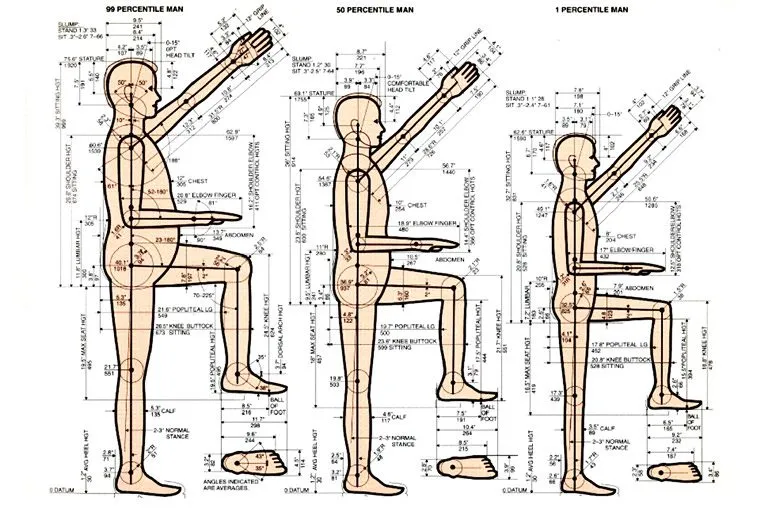 Ergonomics