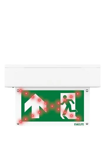 Evaclite project image