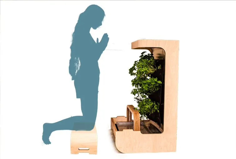Hydroponics Altar: project image 4 of 7