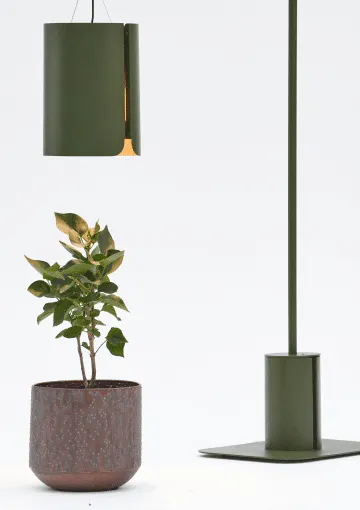 Anthos: project image 5 of 5