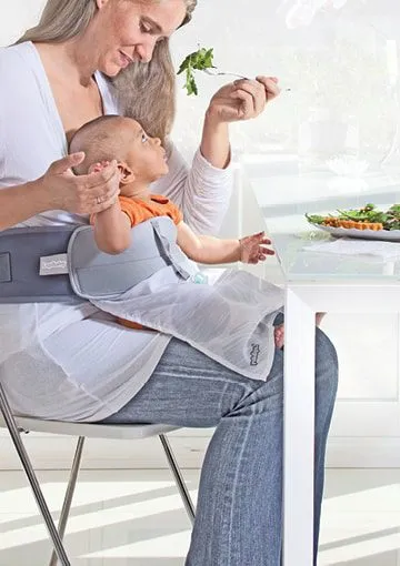 LapBaby project image